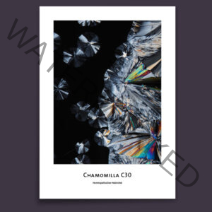 Chamomilla C30, ungerahmt